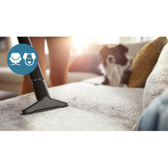 Vacuum Cleaner PHILIPS Input power 800 W Dust capacity 1.3 L Cylinder vacuum Cleaning type Dry Dust container Bagless Colour Black XB1142/10