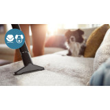 Vacuum Cleaner PHILIPS Input power 800 W Dust capacity 1.3 L Cylinder vacuum Cleaning type Dry Dust container Bagless Colour Black XB1142/10