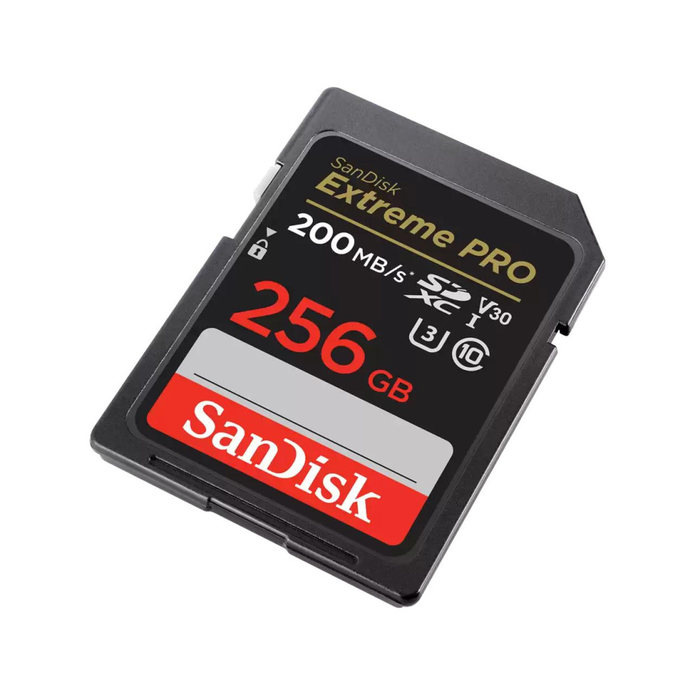 MEMORY SDXC 256GB UHS-1/SDSDXXD-256G-GN4IN SANDISK