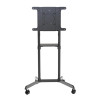 TV SET ACC FLOOR STAND/37-70" NS-M1250BLACK NEOMOUNTS