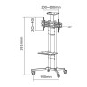 TV SET ACC FLOOR STAND BLACK/32-55" PLASMA-M1700E NEOMOUNTS
